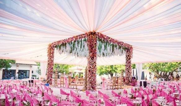 Outdoor Pathway & Canopy Decor